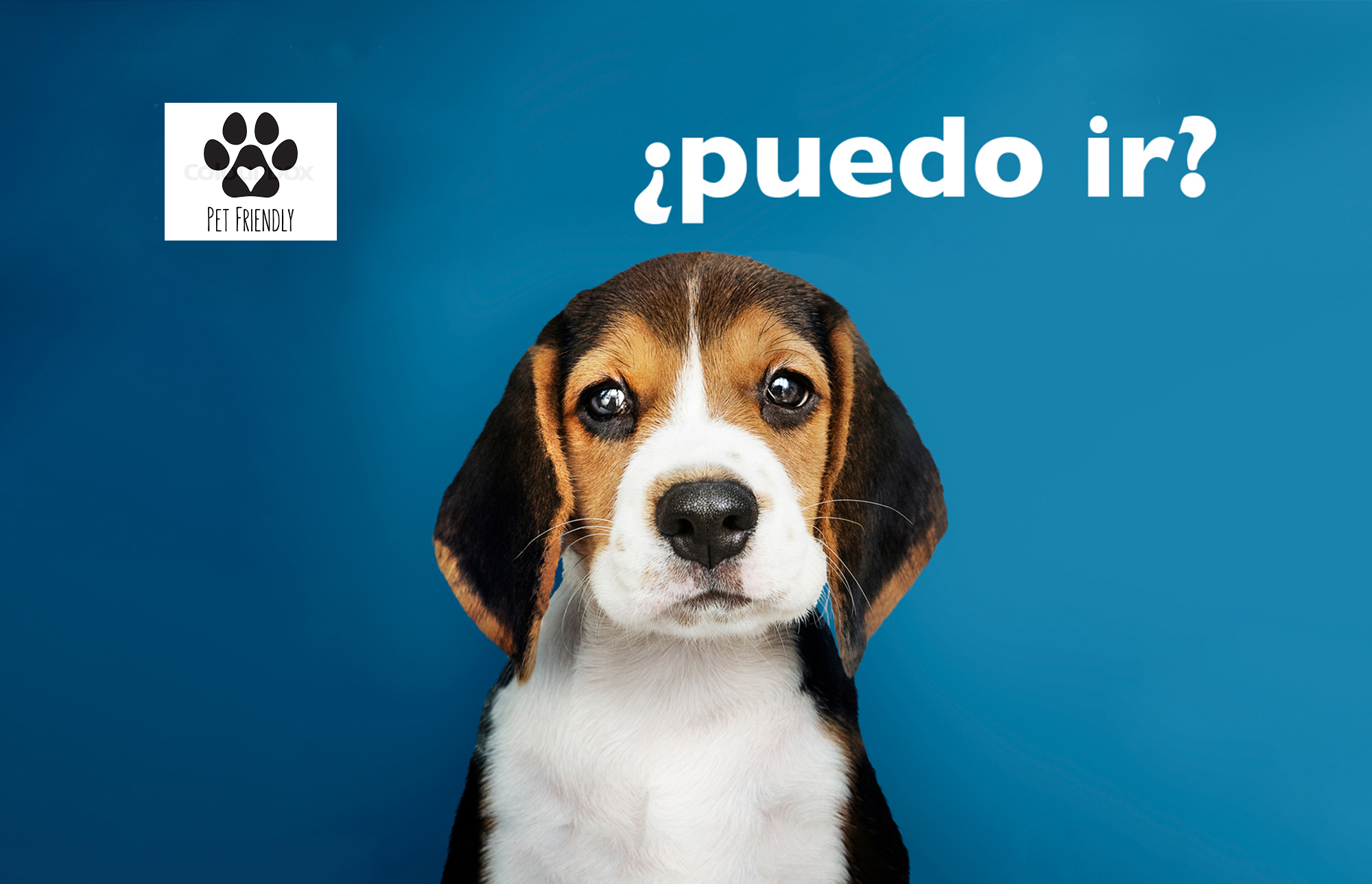 Where to go in Facinas with dog